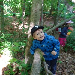 Hurra, Hurra – endlich Waldwoche!